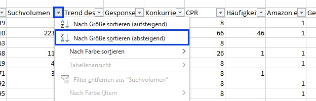 Auf dem Screenshot ist markiert, wie man in Excel mit einem Klick auf den Spaltenfilter und der Option "Nach Größe sortieren (absteigend)" Werte ordnen kann.