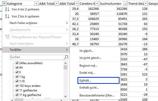 Der Screenshot zeigt, wie man in Excel einen Textfilter setzen kann.