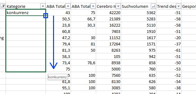 Der Screenshot zeigt, wie man Werte in Excel nach unten ziehen kann und so viel Zeit spart.