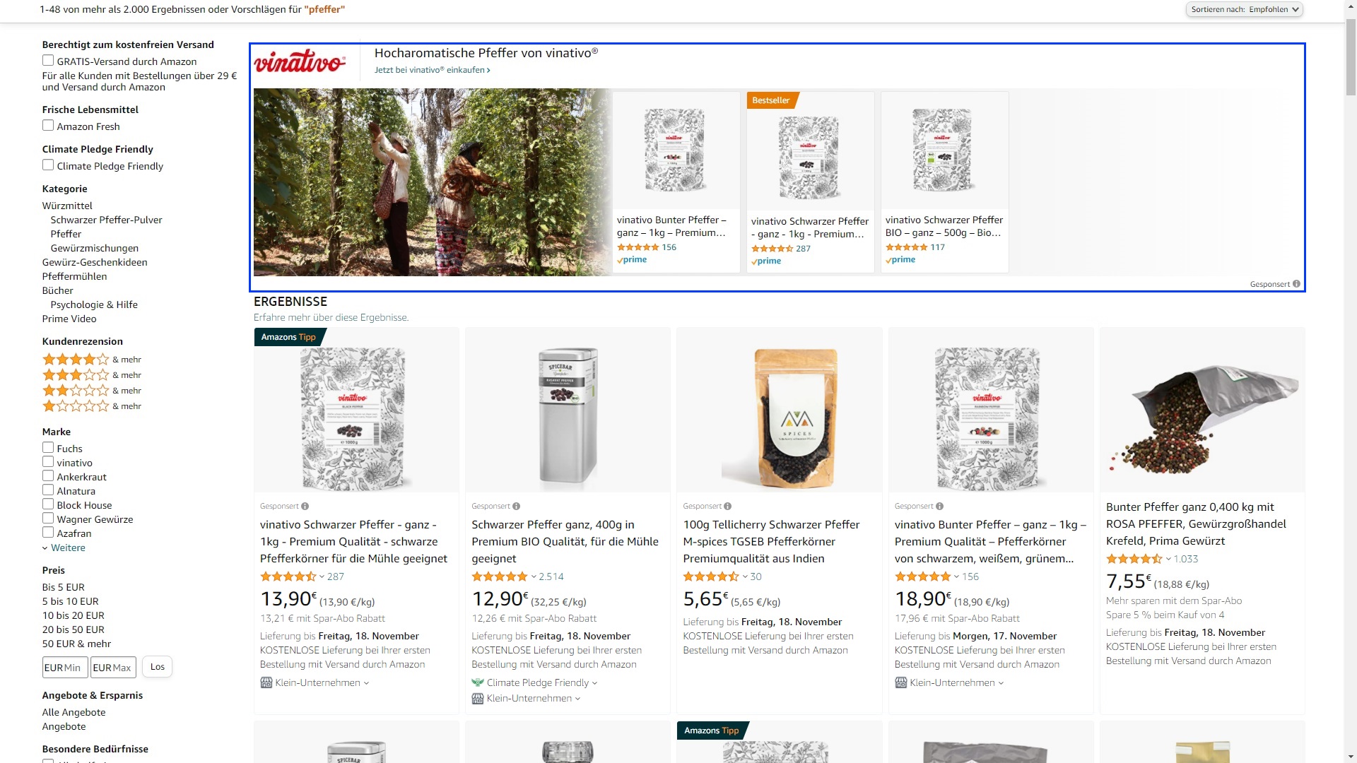 Der Screenshot zeigt, wo sich in der Amazon Produktsuche Sponsored Brands Anzeigen befinden.