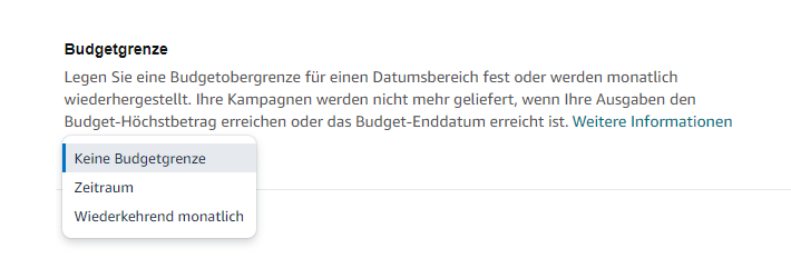 Der Screenshot zeigt, welche Möglichkeiten für Budgetgrenzen es gibt, wenn du ein Amazon Portfolio erstellst.